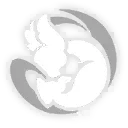 biểu tượng chiến kỹ nhà khai phá ký ức