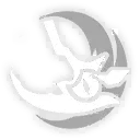 biểu tượng tấn công thường castorice